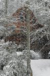 Winter Wonderland